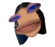 481181343