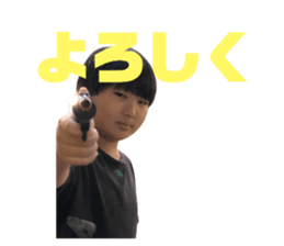 481194550