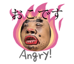 481206018