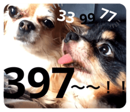 481207990
