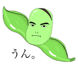 481213988