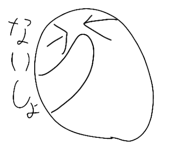 481215206