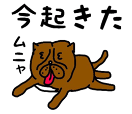 4812363