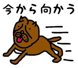 4812385