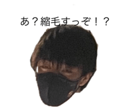 481431871