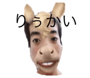 481431873