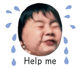 481475063