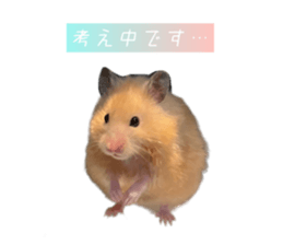 481557319