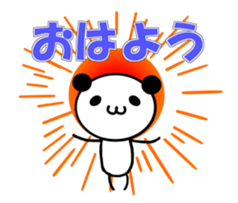 48155742