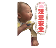 481566113