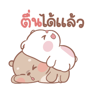 ลายที่ 41