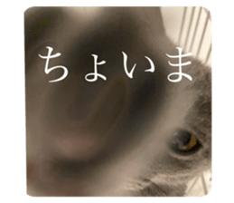 481650148