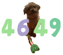 481721717