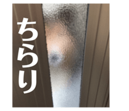 481750570