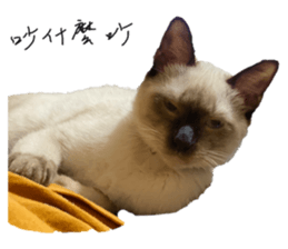 481932570
