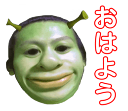 481944762