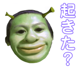 481944778