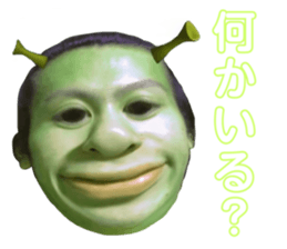 481944781