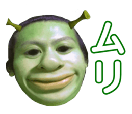 481944792