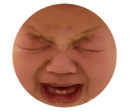 482024086