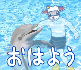 482149494
