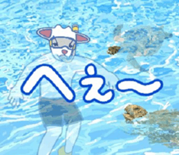 482149528