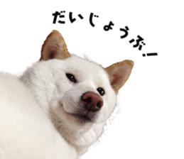 482176741