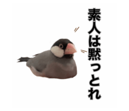 482236542
