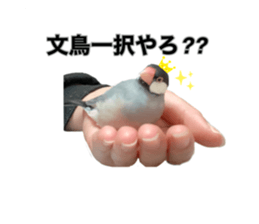 482236545