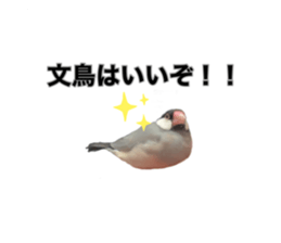 482236548