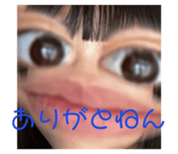482242844