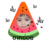 482255850