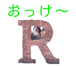 482255992