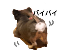 482303871