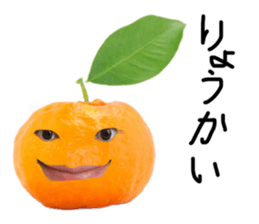 482306247