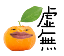 482306252
