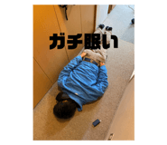 482306817