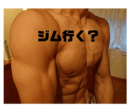 482306819