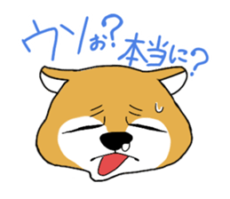 4823379