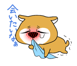 4823381
