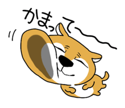 4823398