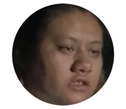 482384817