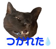 482449800
