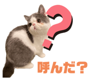 482467809