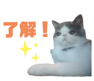482467811