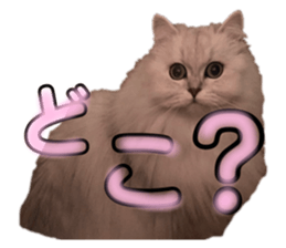 482473317