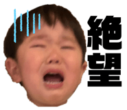 482473773
