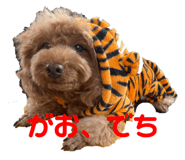 482487670
