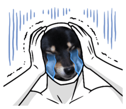 482493348
