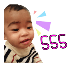 48249363